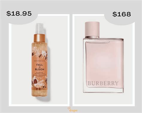 bath body works dupes|bbw dupes.